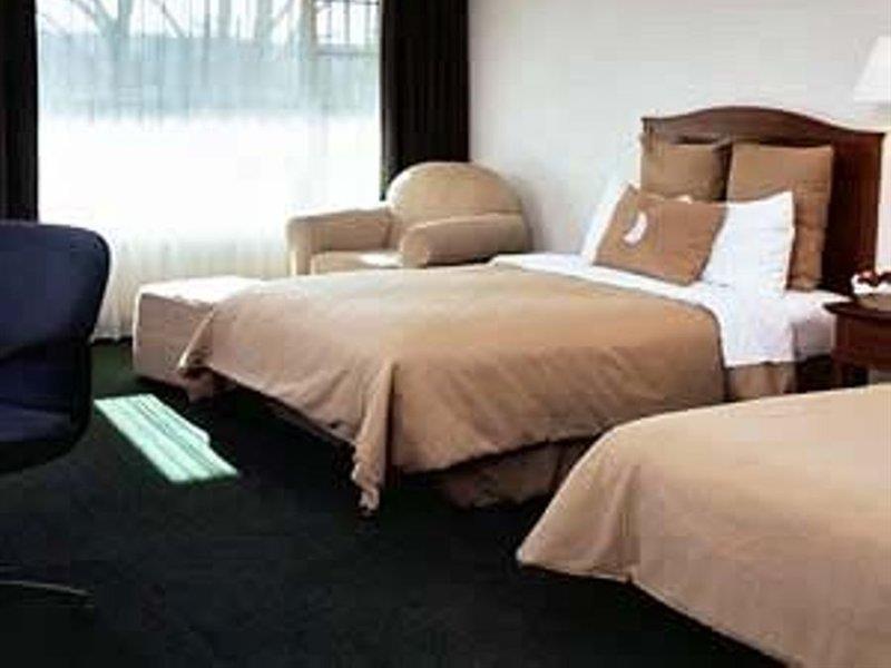 Fiesta Inn San Luis Potosi Glorieta Juarez Kültér fotó